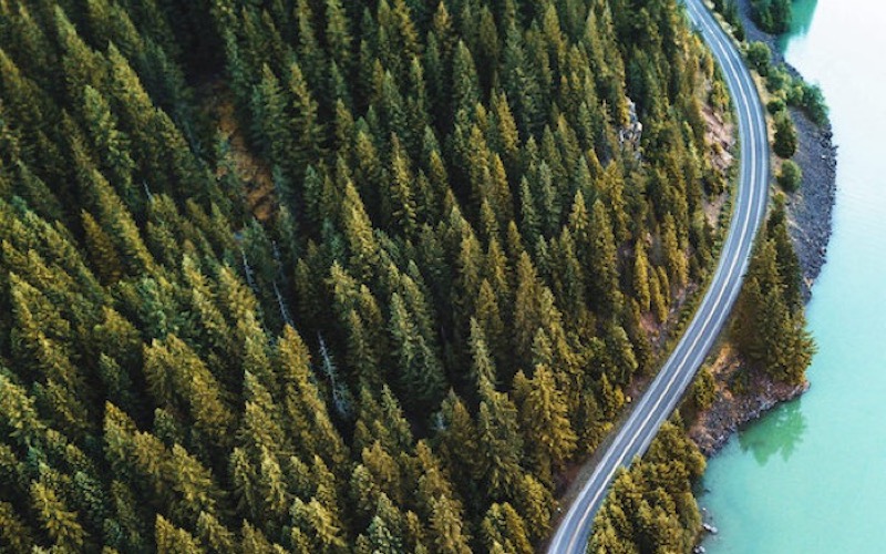 Press Release: Nearly 30 Leading Economists Sign Open Letter Opposing Washington State’s Initiative 2117 & Warning of Its Costs to State