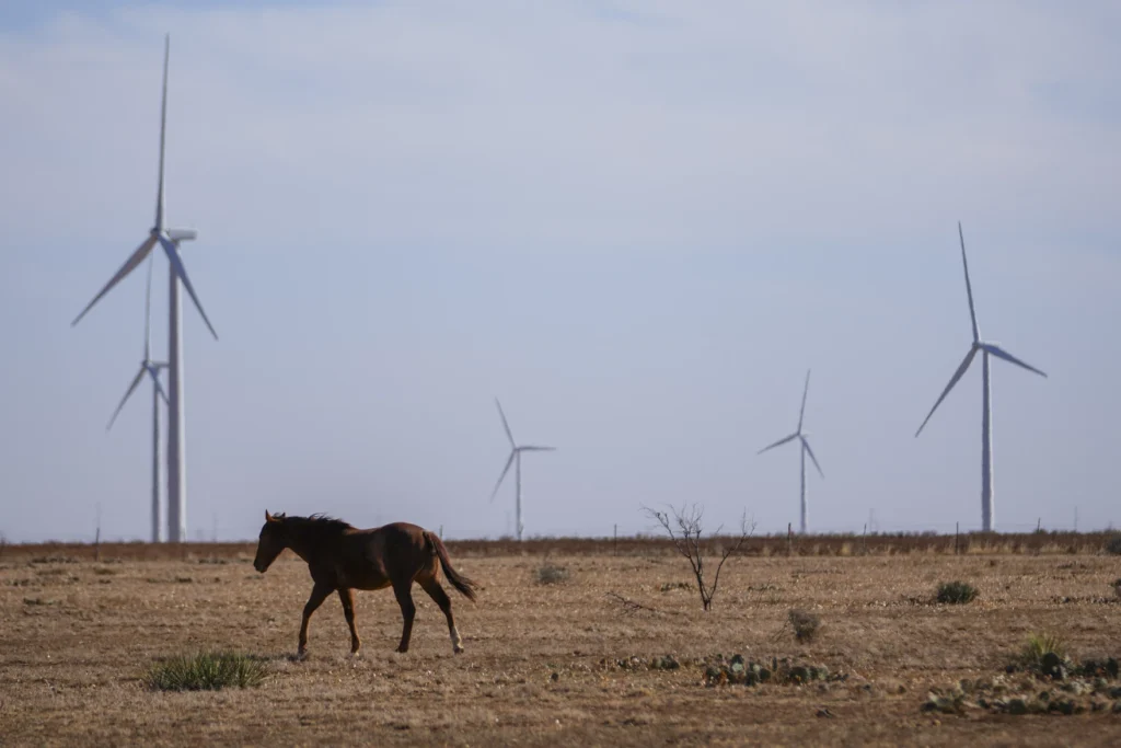 Clean energy advocates facing red tape in Washington look for answers in Texas